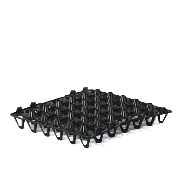 Egg Case (New) -Black